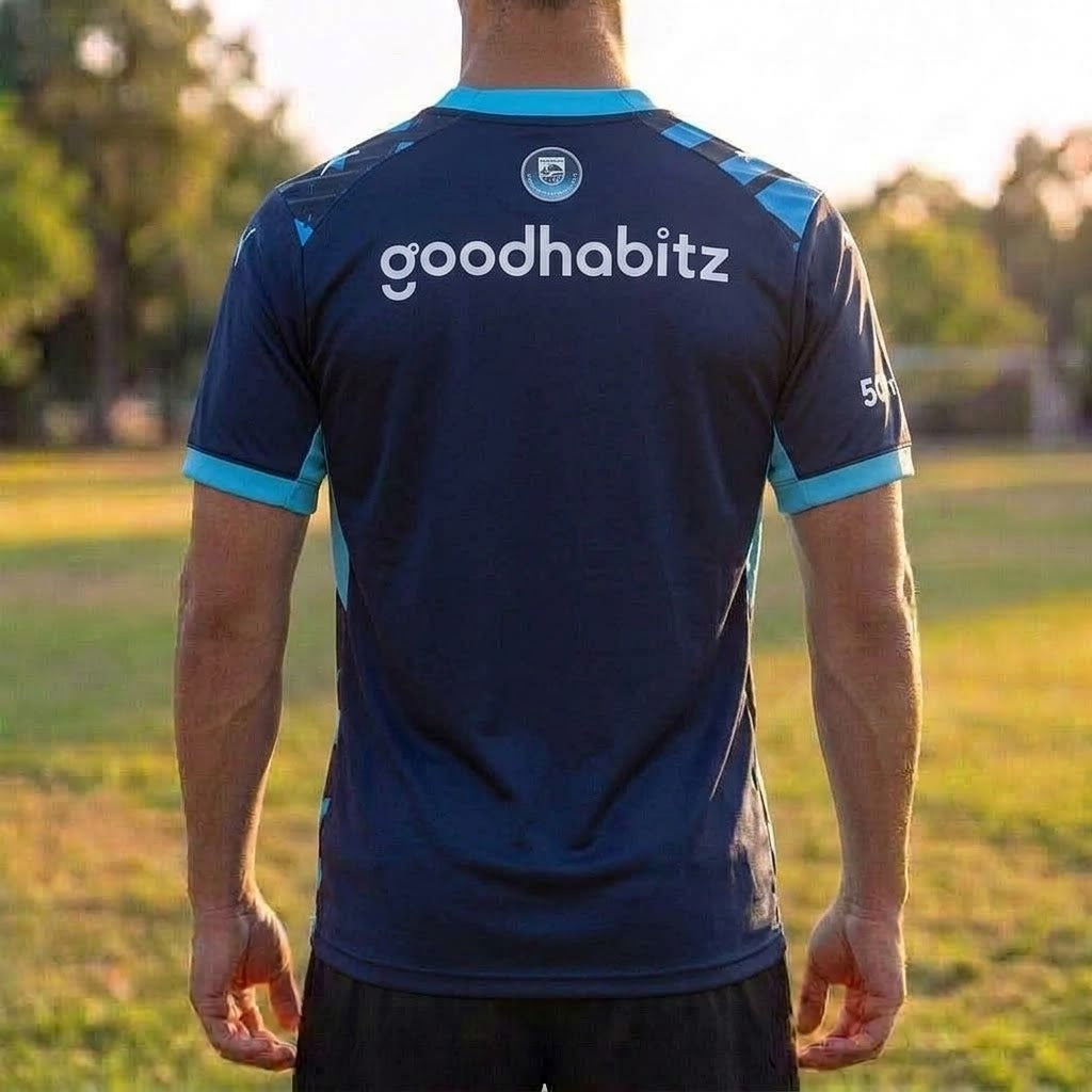 PSV Derde Shirt 26/27
